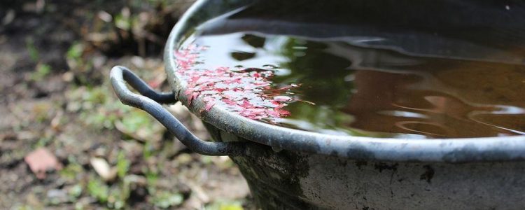 Flachtank Regenwasser: Das Gebäudeentwässerungssystem!